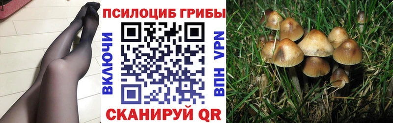 Галлюциногенные грибы прущие грибы  Купить закладки  Баксан 